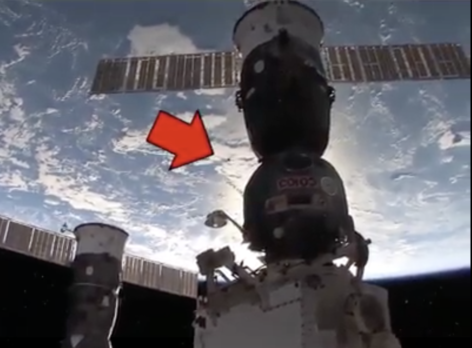Oops! NASA accidentally sends a…BEE to…”SPACE”!