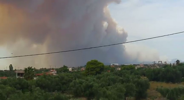 Η ΦΩΤΙΑ ΜΠΗΚΕ ΣΤΑ ΣΠΙΤΙΑ…!!! Βίντεο από την μεγάλη φωτιά σε πευκοδάσος στην Κινέτα – Μάχη των πυροσβεστών με τις φλόγες