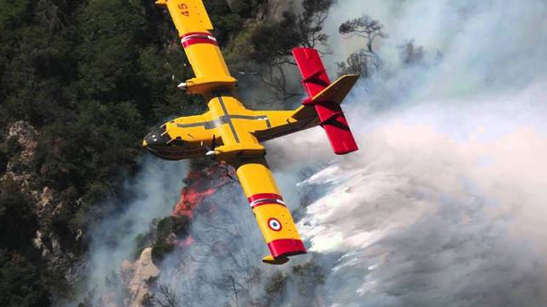 Πυρκαγιά σε δάσος του Τυρνάβου