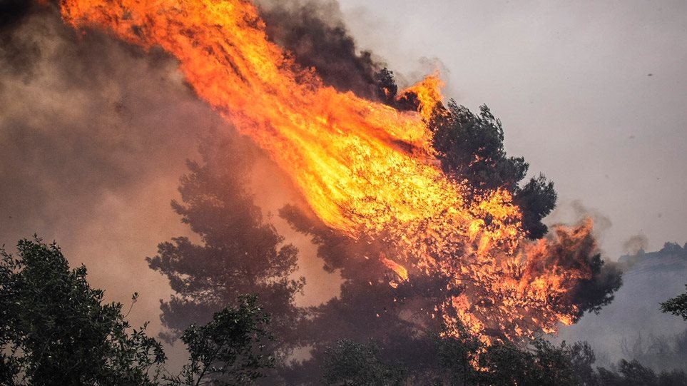 Σε δύο μέτωπα η φωτιά στην Εύβοια – 500 κάτοικοι έφυγαν από τα χωριά Κοντοδεσπότι και Σταυρός