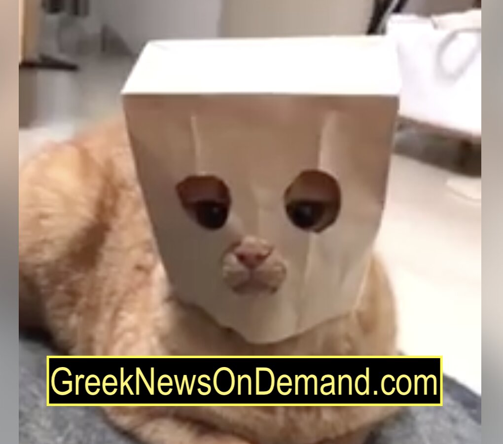 Όταν η γάτα ντύνεται ΣΥΡΙΖΑΙΟΣ και πάει…ΣΚΑΪ…!!!