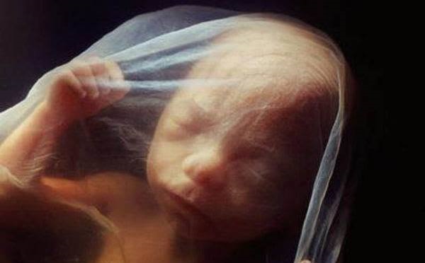 South Carolina Senate Approves Bill to Ban All Abortions, Declares Unborn Babies People Under Law