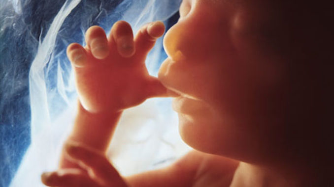 Supreme Court Rules Unborn Baby Is a Person