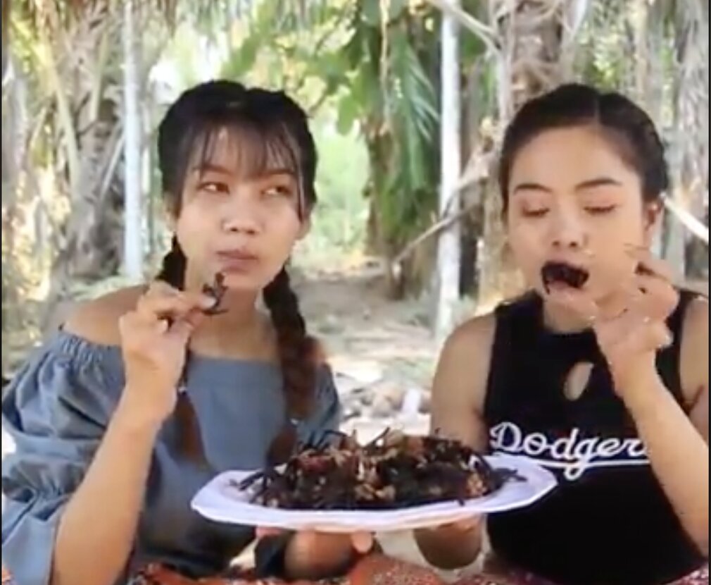 ΔΕΙΤΕ τις πανέμορφες ασιατικές κοπέλες να τρώνε…ΤΑΡΑΝΤΟΥΛΕΣ!!!