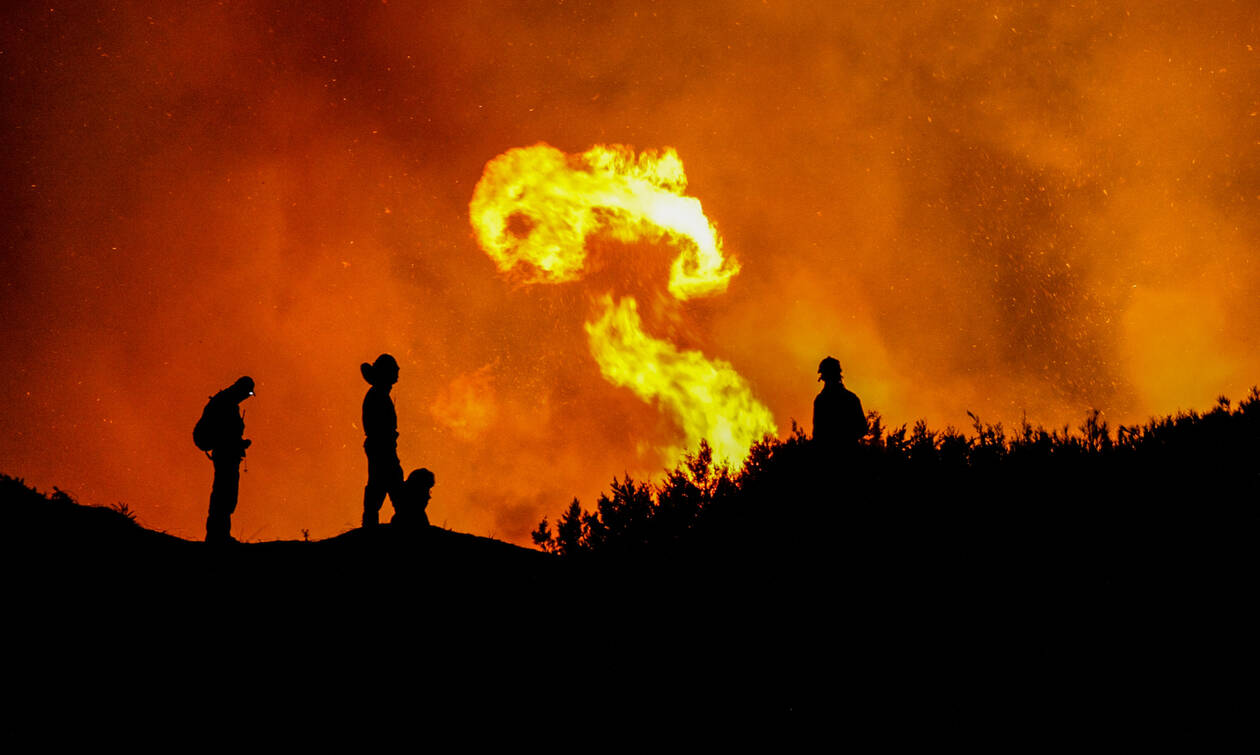 Ηλεία: Εικόνες που συγκλονίζουν από τη φωτιά στο δάσος της Στροφυλιάς
