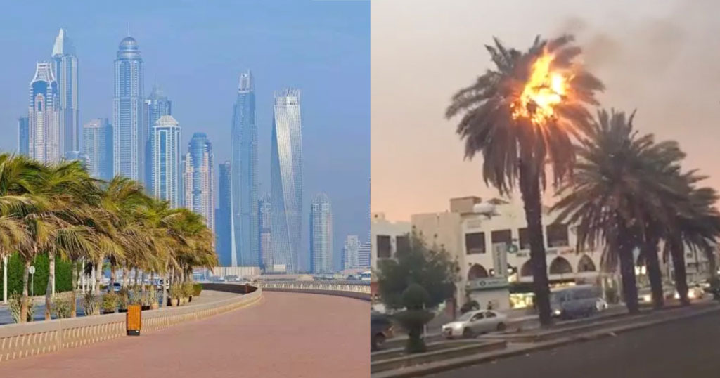 Ντουμπάι: 63 βαθμούς Κελσίου και τα δέντρα αρχίζουν να καίγονται μόνα τους