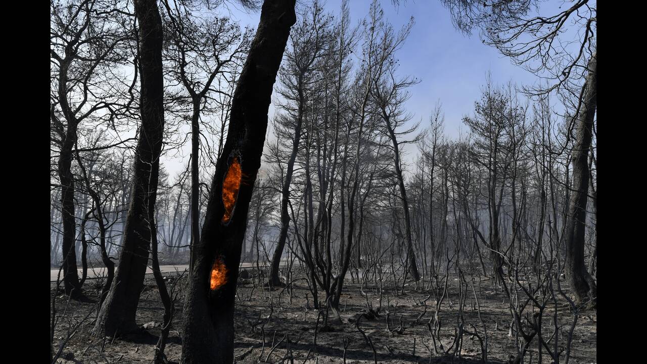 Φωτιά – Εύβοια: Συνεχίζεται η μάχη με τις φλόγες – Στάχτη χιλιάδες στρέμματα