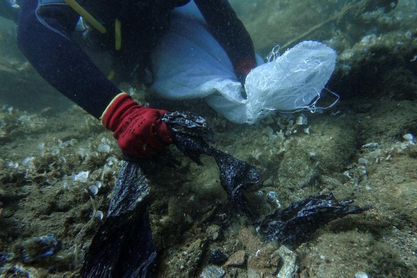 In Greece’s Aegean Sea, divers find “gulf of plastic corals”