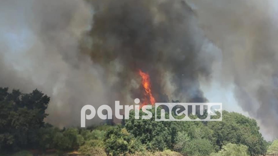 Φωτιές σε Ηλεία και Ασπρόπυργο: Τρεις ηλικιωμένες στο Κέντρο Υγείας Βάρδας – Ανατράπηκε όχημα της Πυροσβεστικής