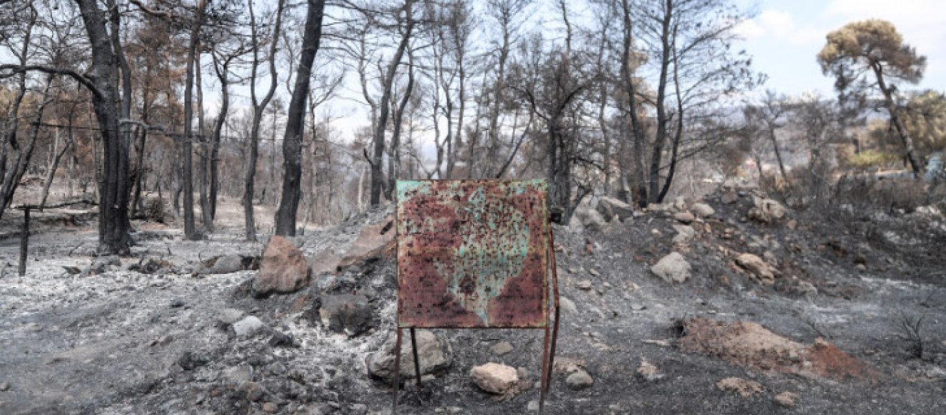 Eύβοια: Χαρτογραφήθηκε η περιοχή που κάηκε – Tρομακτικών διαστάσεων η οικολογική καταστροφή (φωτο)