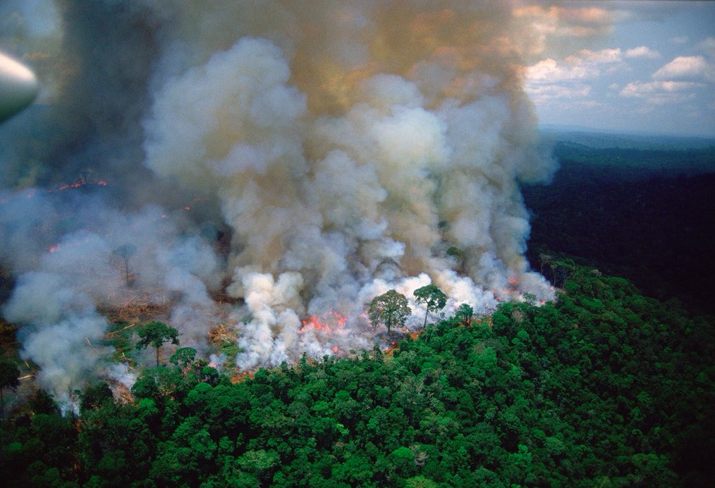 Καταστρέφεται ο Αμαζόνιος όπως κι η…ΕΛΛΑΔΑ!!! – Ο «πνεύμονας» της γης κινδυνεύει!!!