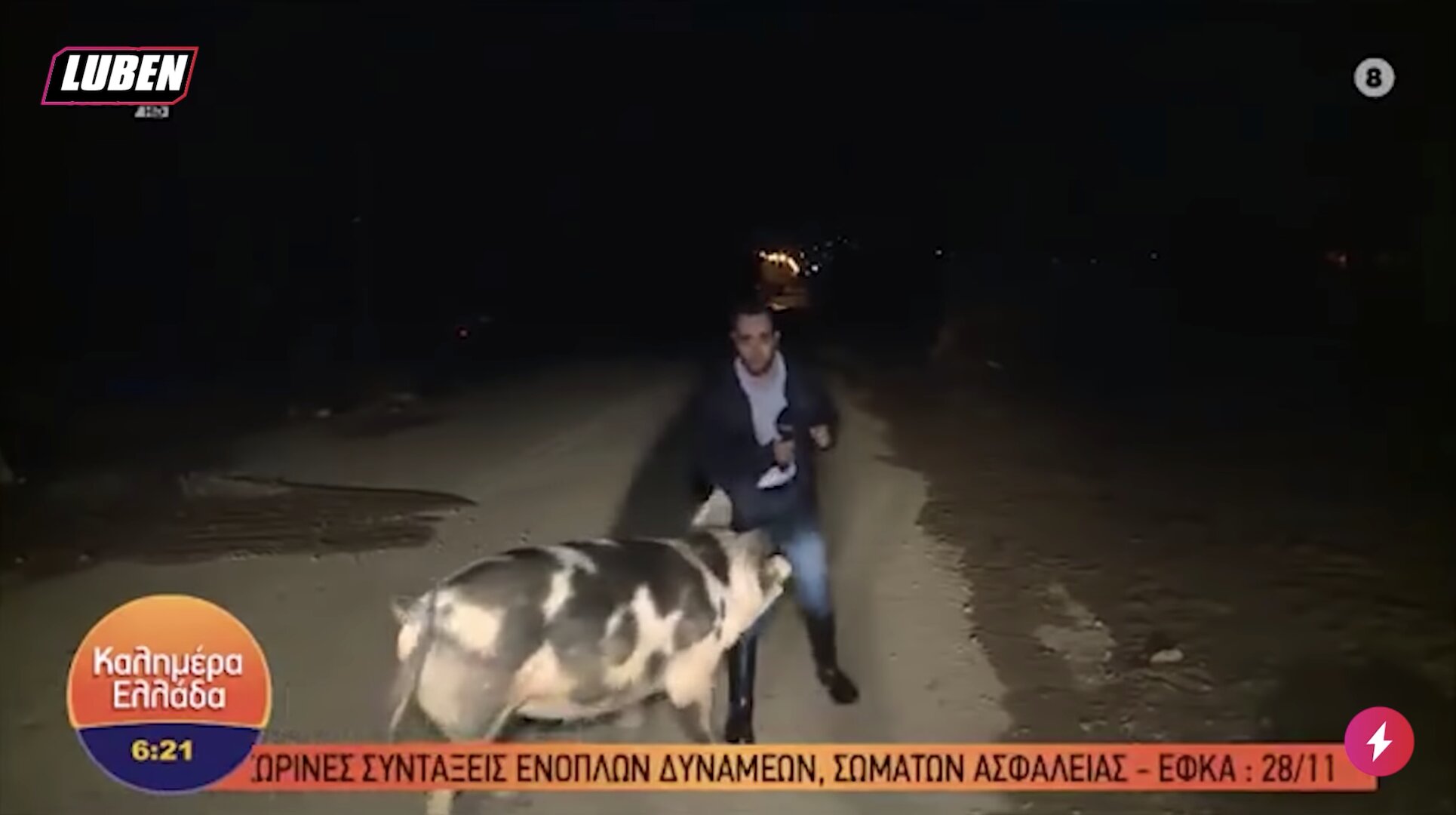 Γουρούνι την πέφτει live σε ρεπόρτερ του ΑΝΤ1 και τον δαγκώνει | Luben TV