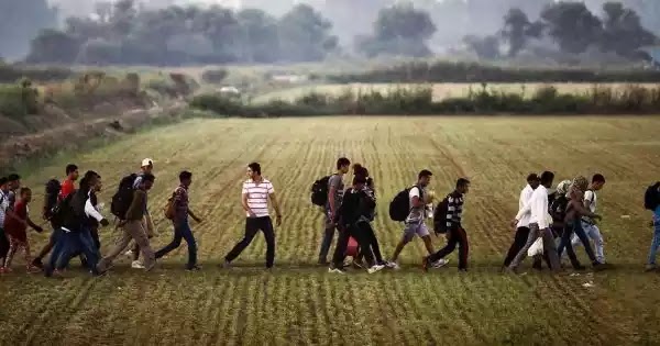 Έβρος: Παράνομοι μετανάστες καίνε τις περιουσίες των κατοίκων – Κυριαρχεί ο φόβος παντού