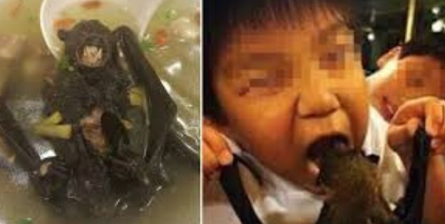 Κίνα: Υποψίες ότι ο Κορονοϊός ιός εξαπλώθηκε από… σούπα νυχτερίδας..!