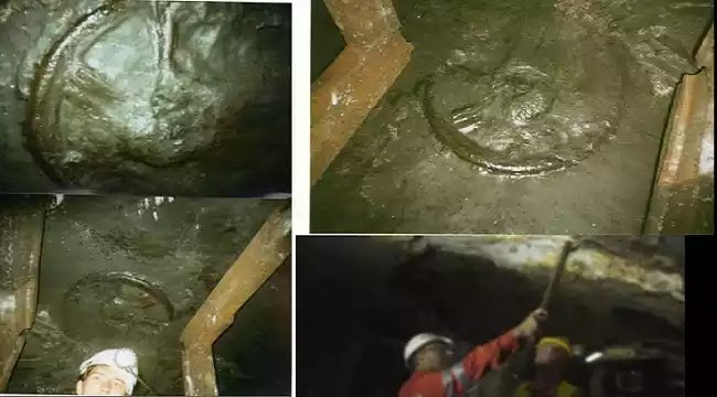 Ανακάλυψαν έναν τροχό 300 εκατομμυρίων ετών που αναιρεί την “επίσημη ιστορία”