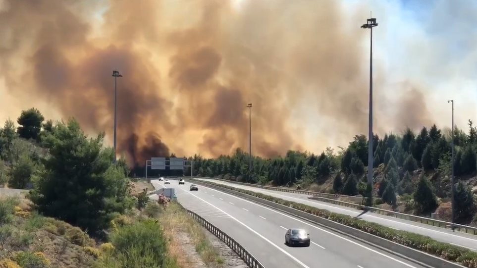 Συναγερμός στη Φθιώτιδα: Πυρκαγιά στο Μαρτίνο – Οι φλόγες πέρασαν την εθνική οδό