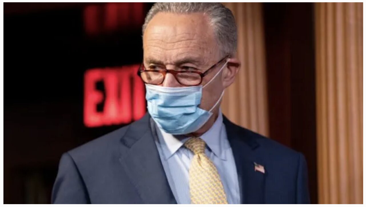 Schumer Proposes $350 Billion Covid Aid Package for Non-Whites Only