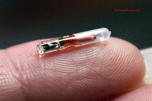 Microchip’d? DARPA Biochip To “Save” Us From COVID Can Control Human DNA | Zero Hedge