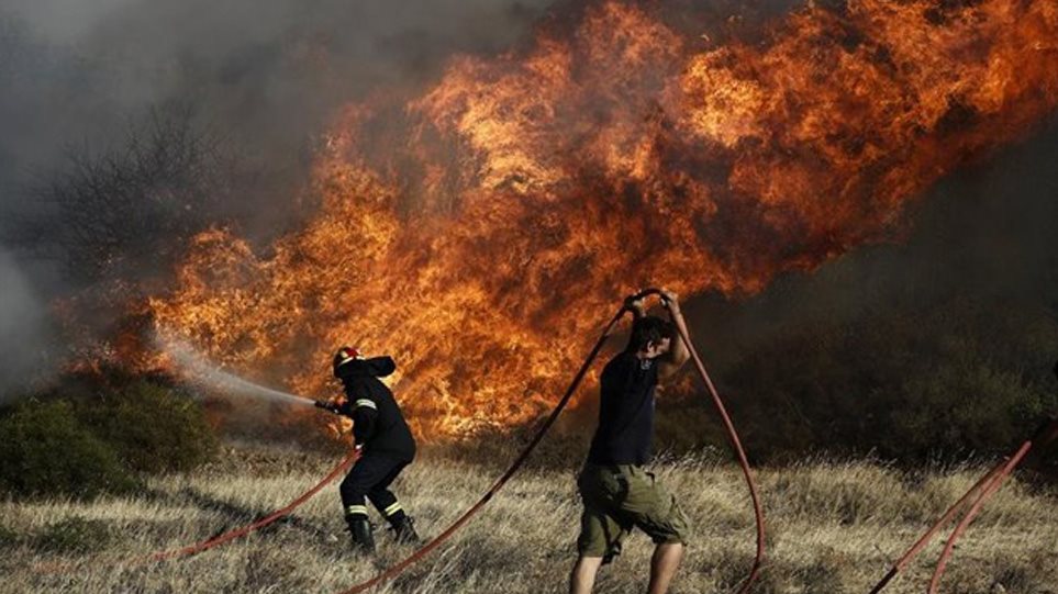 Φωτιά στον Έβρο: Στο δάσος της Δαδιάς οι φλόγες