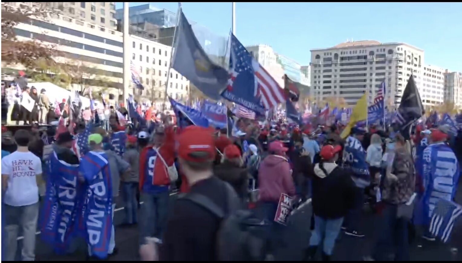 Live Stream of Million MAGA March in Washington
