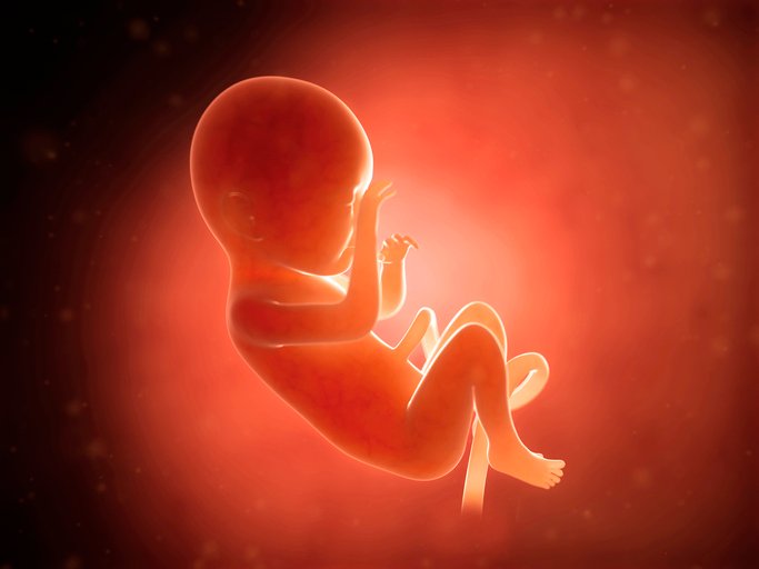 South Carolina Becomes 12th State to Limit Abortions After Heartbeat Detected – Effectively Banning Abortion After 6 Weeks of Pregnancy