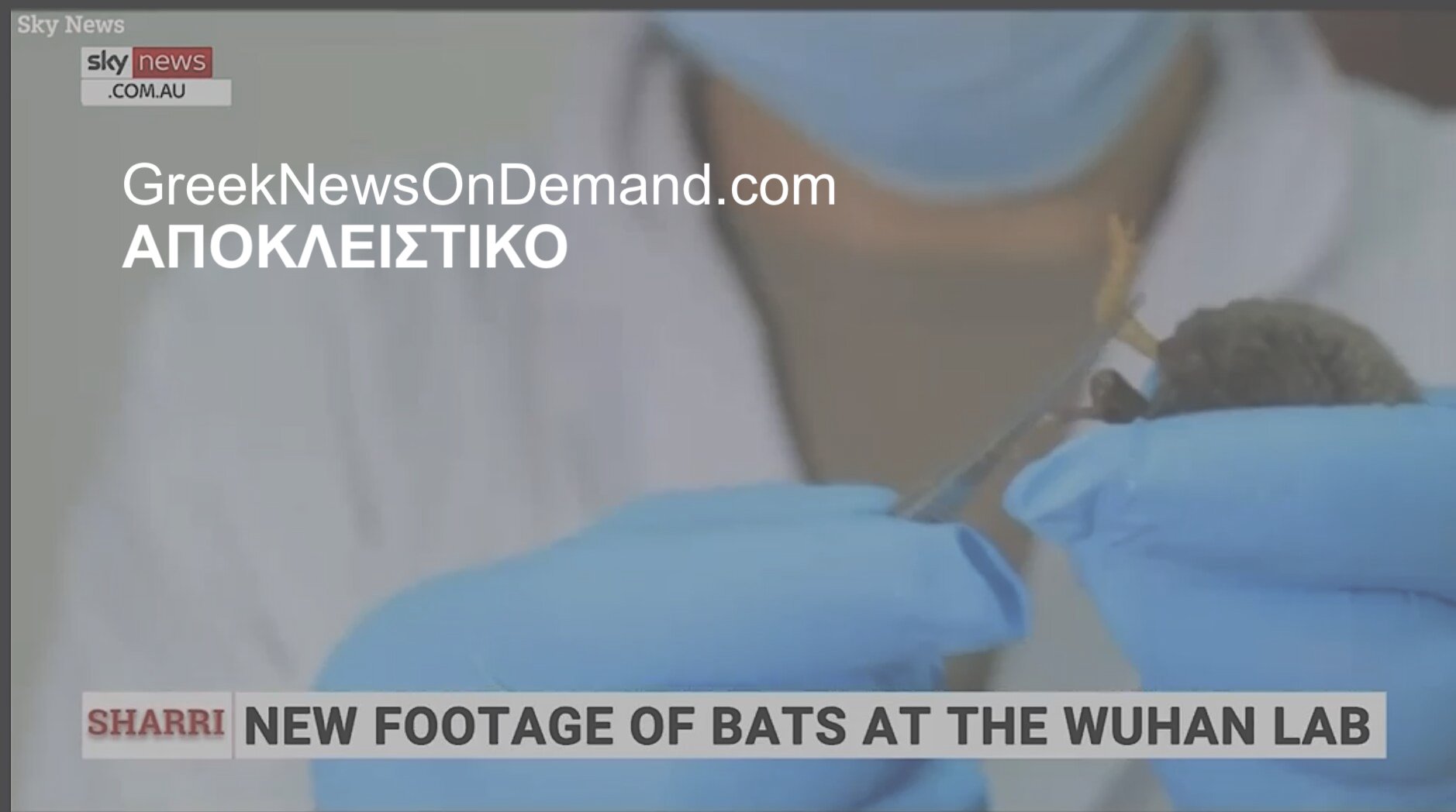 ΜΠΟΥΜ!!!: Η περιβόητη «Batwoman» της Κίνας έφτιαχνε ιούς-Φρανκενστεϊν για να μολύνει ανθρώπους χρησιμοποιώντας το HIV (AIDS) σε απαίσιο πείραμα πριν από τη “διαρροή Κόβιντ” από εργαστήριο της Κίνας!