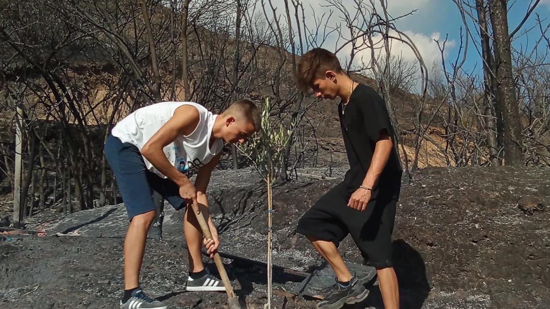 Το πρώτο δέντρο στα καμένα -Η viral φωτογραφία με τους δύο 15χρονους στην Αρχαία Ολυμπία [εικόνες]