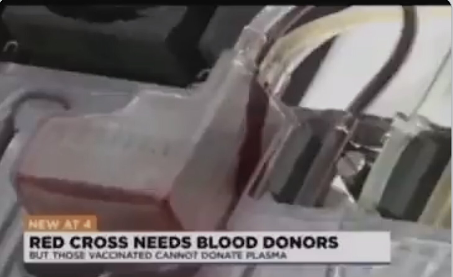 Red Cross: Vaxed Can’t Donate Plasma As The Vax Bioweapon Wipes Out Antibodies!