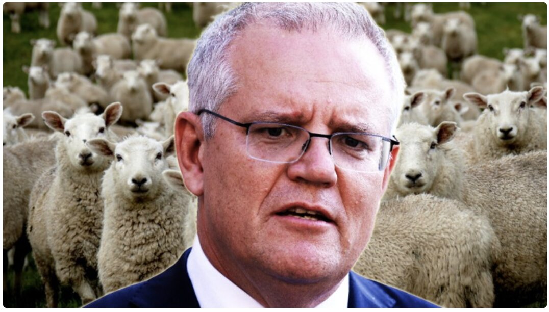 Aussie PM Compares Vaccinated People to Sheep