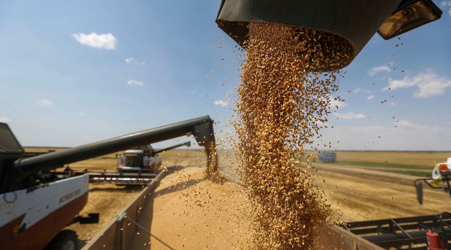 Ρώσος μεγιστάνας λιπασμάτων Α.Μελνιτσένκο: «Ετοιμαστείτε για παγκόσμια επισιτιστική κρίση»