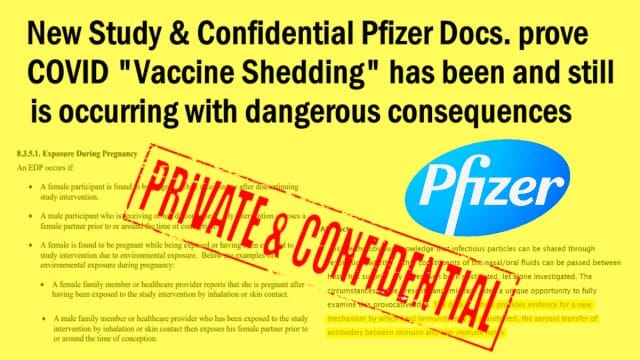Νέα Μελέτη & Εμπιστευτικά Έγγραφα της Pfizer αποδεικνύουν ότι το COVID “Vaccine Shedding” συνέβαινε και εξακολουθεί να συμβαίνει με επικίνδυνες συνέπειες!