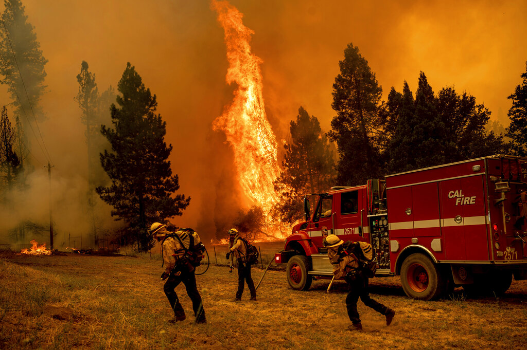 Τεράστιες καταστροφές από τις πυρκαγιές σε ΗΠΑ, Γαλλία & Ισπανία