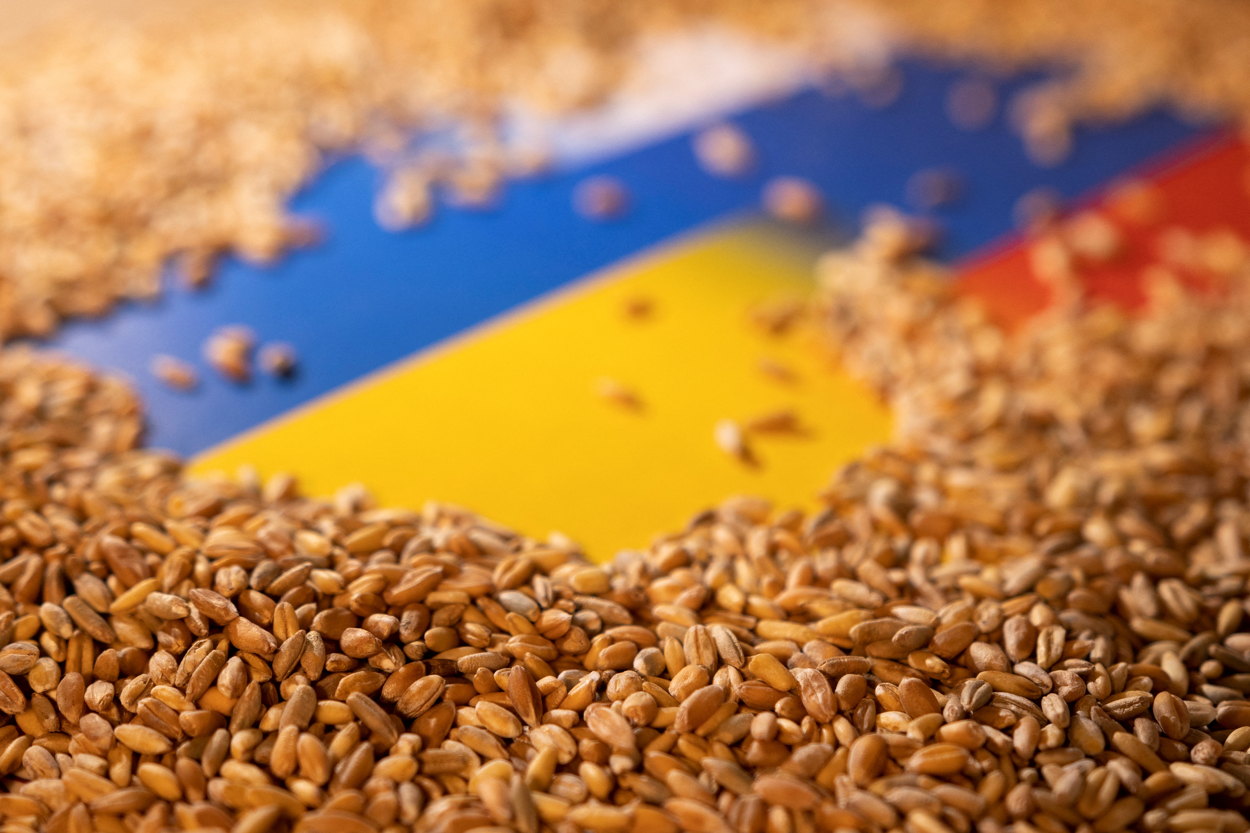 G7 to impose sanctions on grain exports from Ukraine — White House