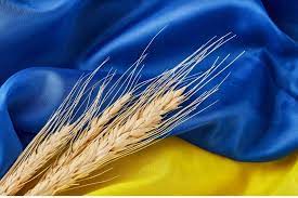 Λευκός Οίκος: Η G7 θα επιβάλει κυρώσεις στις εξαγωγές σιτηρών από την Ουκρανία